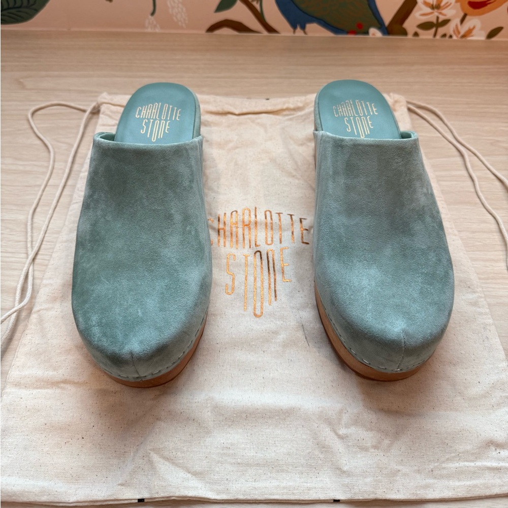 Charlotte Stone Martino Clog in Jade